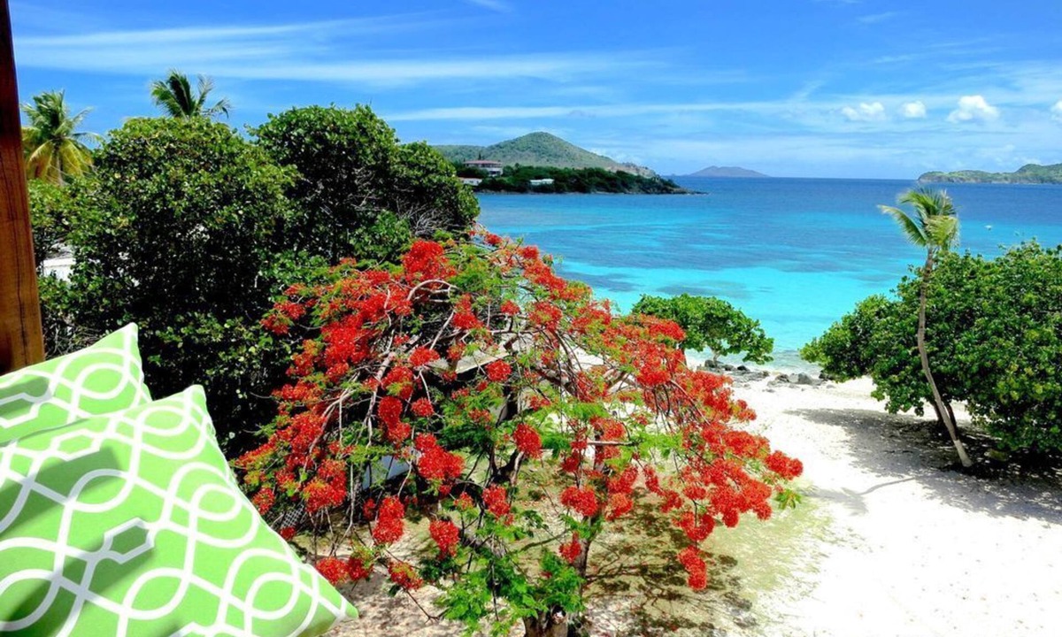 Red Hook Condo | ★ Luxury Condo at Sapphire Beach Resort and Marina - WiFi I