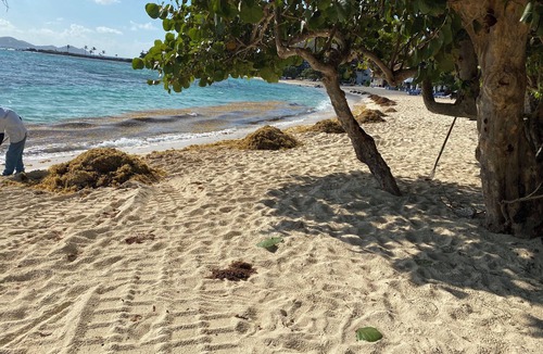 Anna's Retreat Condo | Sapphire Bay Condo West at Sapphire Beach, St. Thomas, USVI