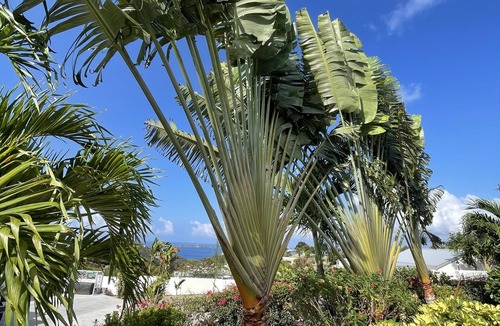 Estate Pastory Cottage | Seabreeze Villa with private pool and sunset view
