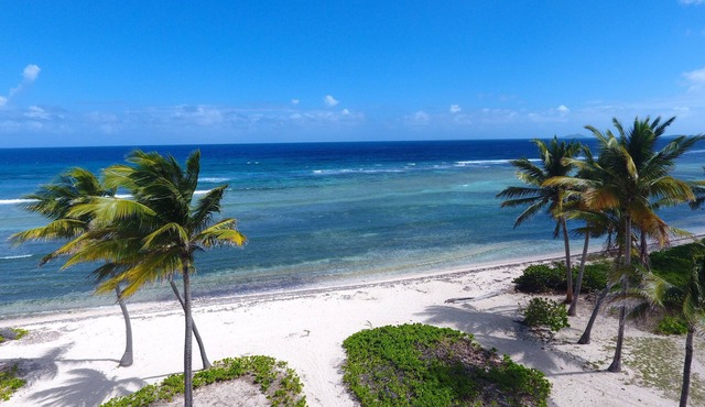 Beachfront Pelican Cove Penthouse Condo in St Croix