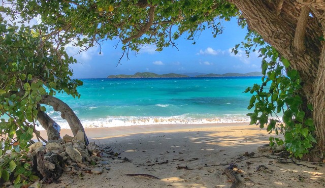 Blue Ocean Breeze with breath taking views of our beautiful blue ocean. in St. Thomas