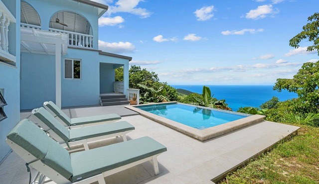 Disconnect & Reset Here | Pool + Generator in St. Thomas