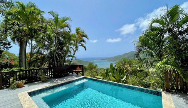 Mayan Sky ~ Pool views of Coral Bay. AC in all rooms! in Coral Bay