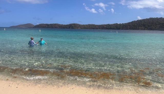 Relaxing 1-bedroom resort in Pineapple Village in Charlotte Amalie