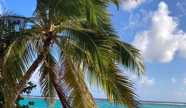 Sea La Vie in Christiansted