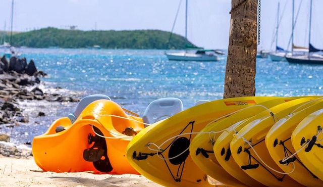 Studio -St. Thomas- Stunning Vacation Awaits! in East End