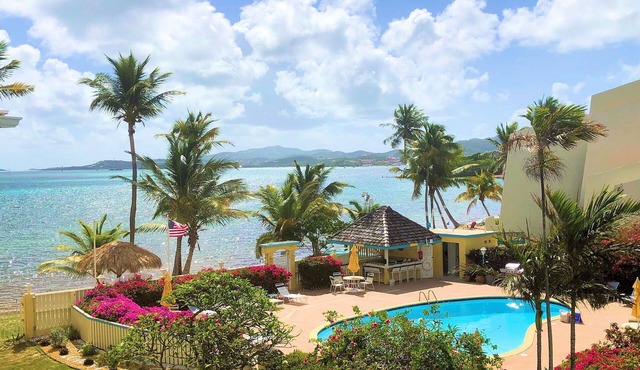 Suite Dreams at Colony Cove - 2 bed/2 bath seaside condo- beach and pool. in Christiansted