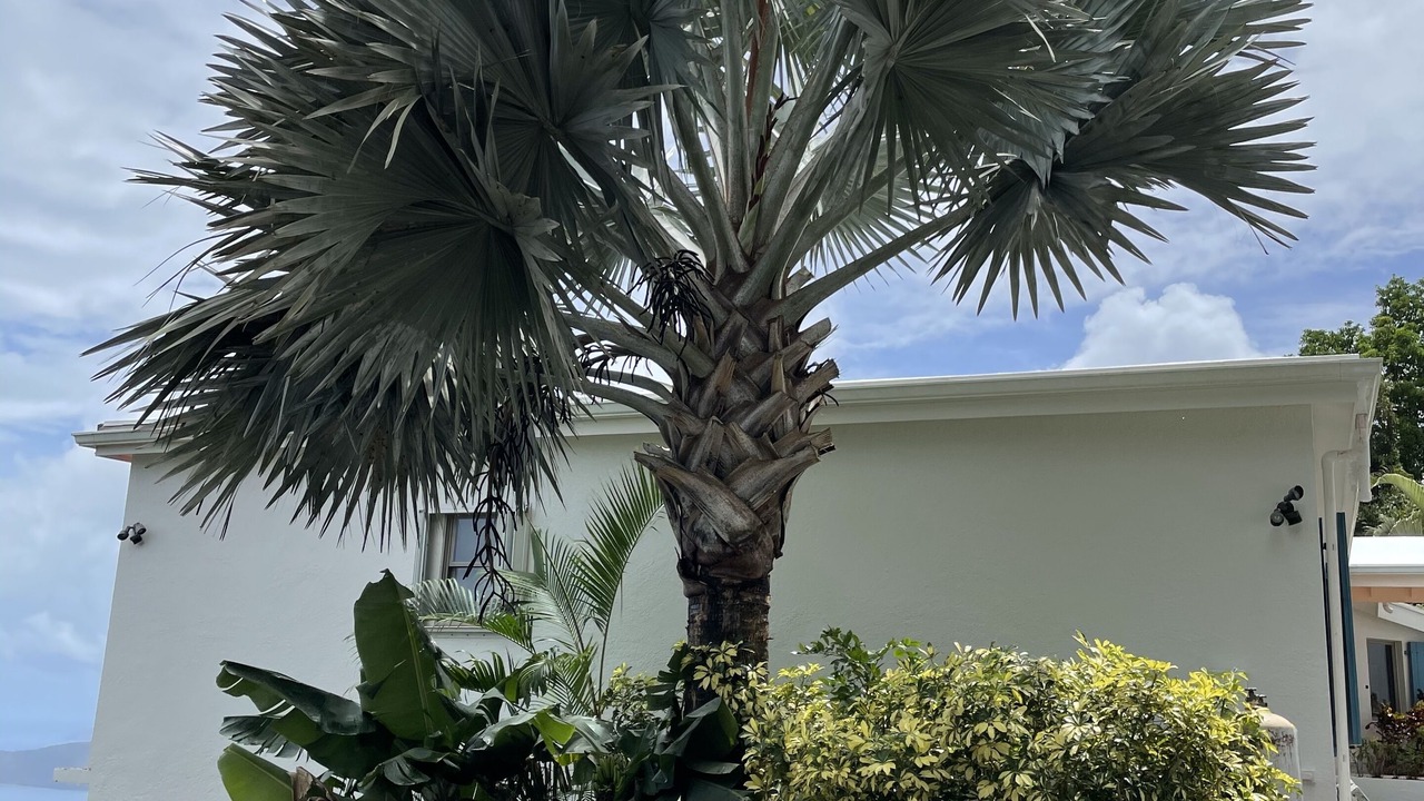 Photo of Outdoor in Estate Caret Bay