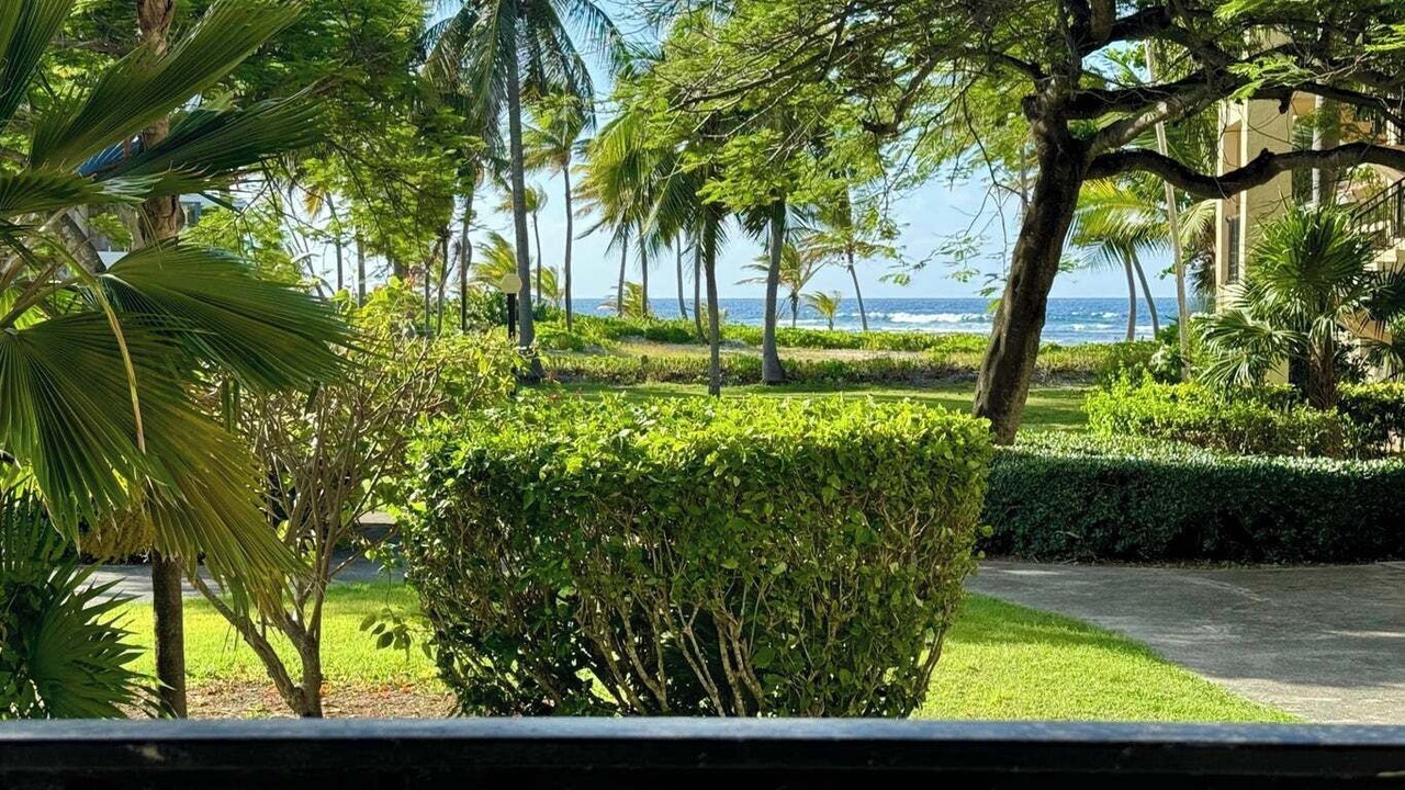 Photo of Outdoor in La Grande Princesse