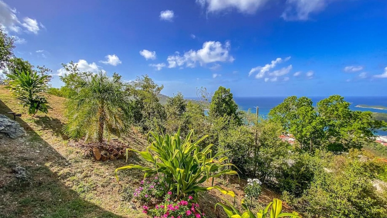 Photo of Outdoor in Mafolie