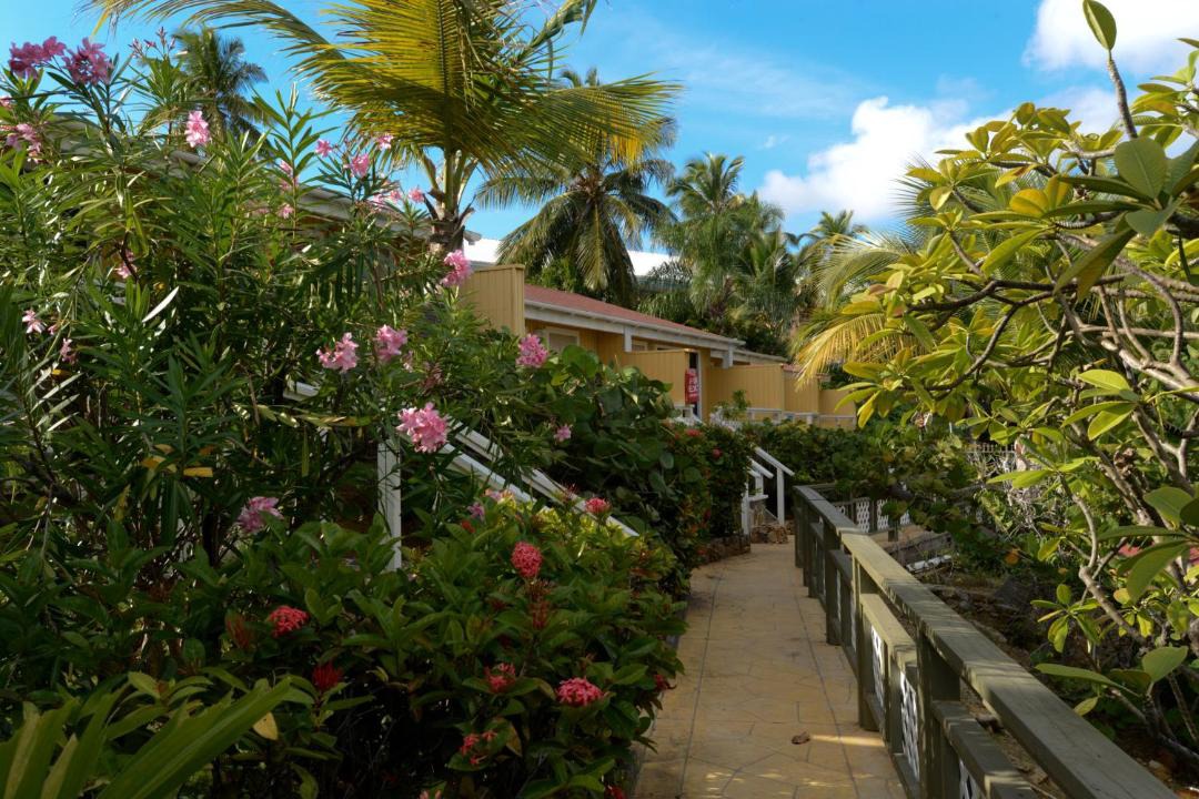 Photo of Others in Charlotte Amalie West
