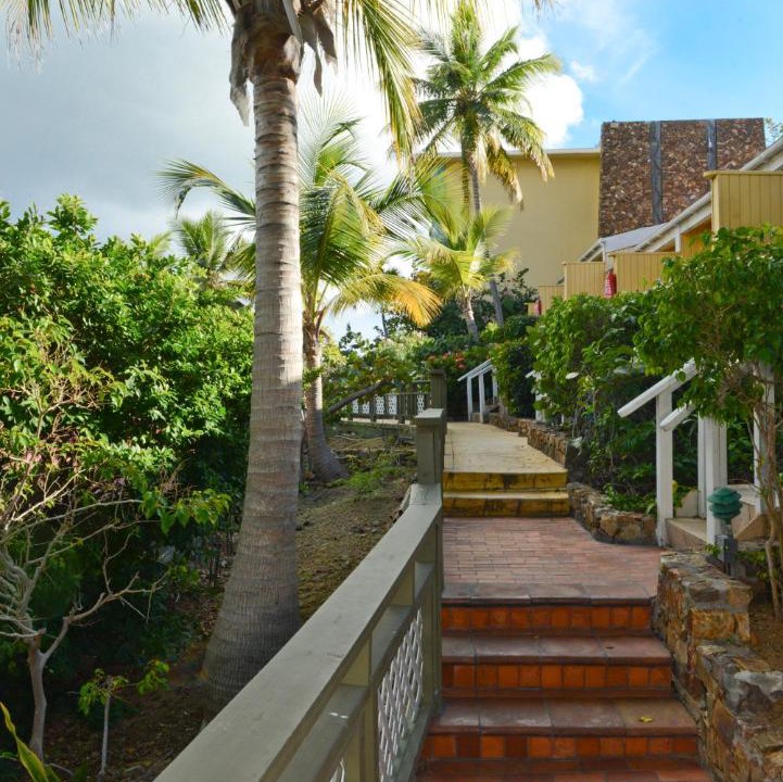 Photo of Others in Charlotte Amalie West