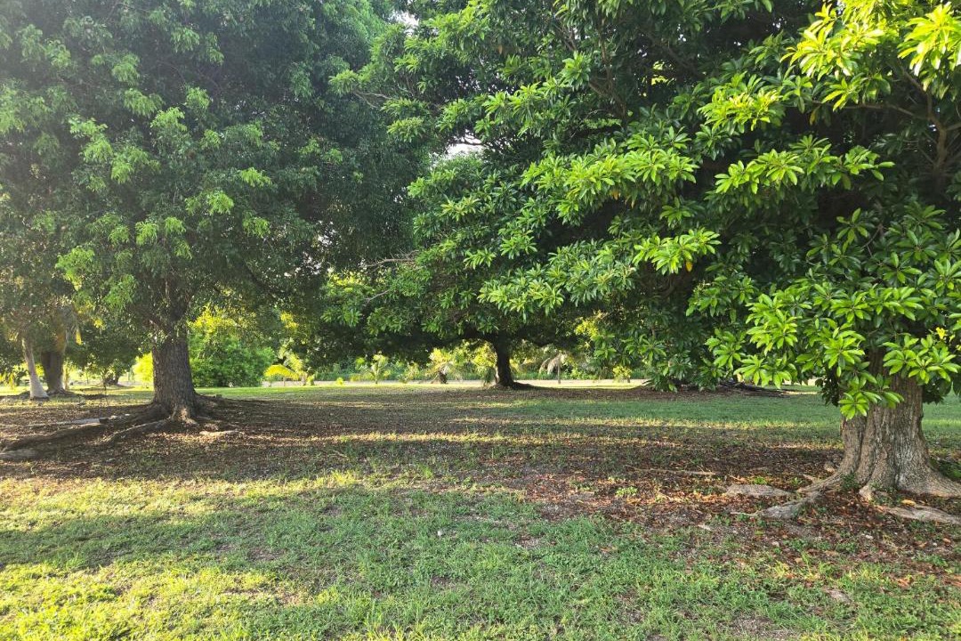 Photo of Outdoor in Estate Work and Rest