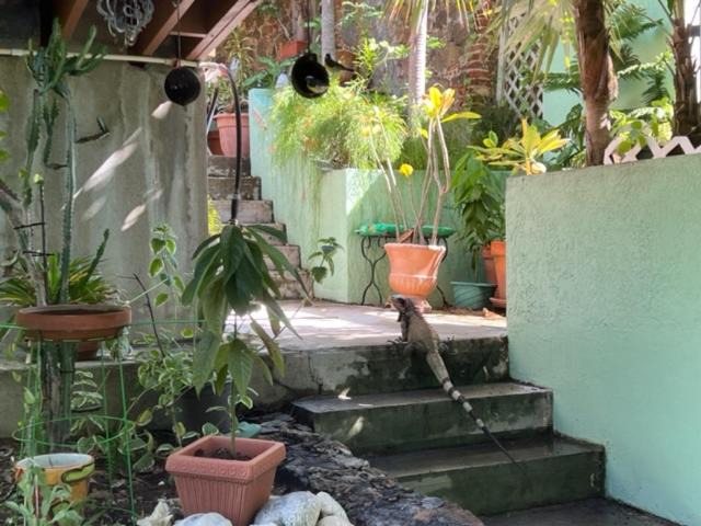 Photo of Others in Estate Kings Quarter