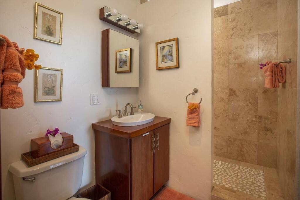 Photo of Others in Estate San Soucci
