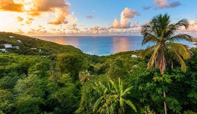 Luxury Villa Michelle | Heated Saltwater Pool + Ocean Views in Charlotte Amalie West