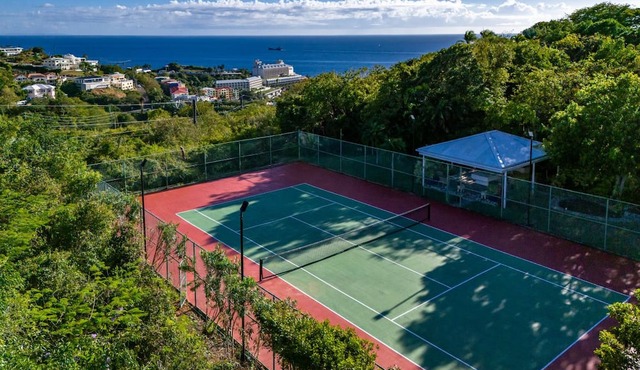Bellevue Estate- 6BR New remodel w/Restoration Hardware & Tennis in St. Thomas