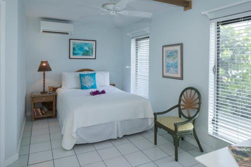 Coconut Coast Villas in Contant